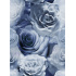 Velurové potahové látky s potiskem, Růže Modré a Bílé