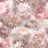 Velvet upholstery fabrics with print, Chrysanthemums