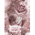 Velvet upholstery fabrics with print, Pale Pink Roses