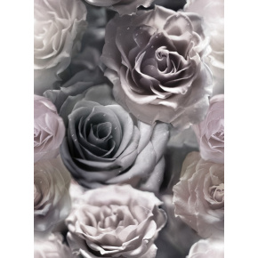 Velurové potahové látky s potiskem, Růže Šedé a Bílé